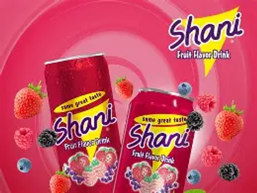 Shani Fruit Drink 300ml 24pcs