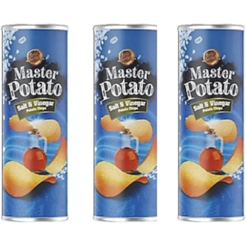 MASTER POTATO SALT & VINIGAR POTATO CHIPS 160G 14PCS