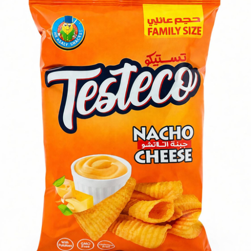 MR ASALY TESTECO  NACHO CHEESE 100G 16PSC